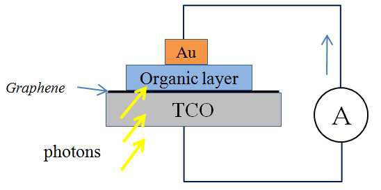 그라핀/유기물 이종접합 광전지소자를 시험하기 위한 기초 소자의 단면도를 나타내었다. 원자수준의 두께를 지니는 그라핀을 지탱하기 위해서 TCO를 사용하게 된다. 이때 태양광은 TCO를 통해서 조사된다