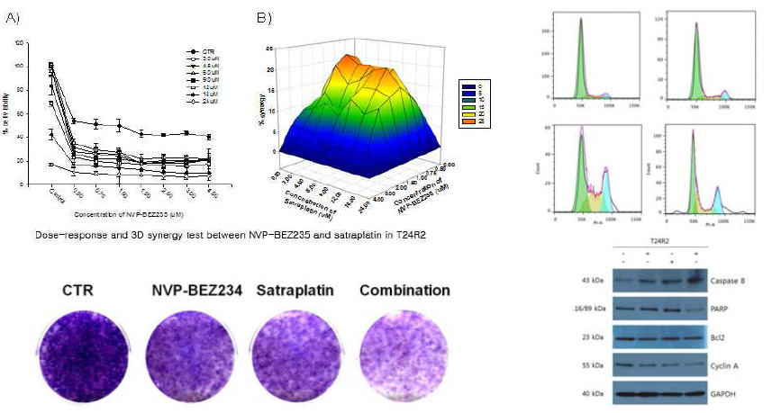 Synergistic antitumor effect between satraplatin and PI3K/mTOR dual inhibitor NVP-BEZ235 in cisplatin-resistant T24R2 cells.