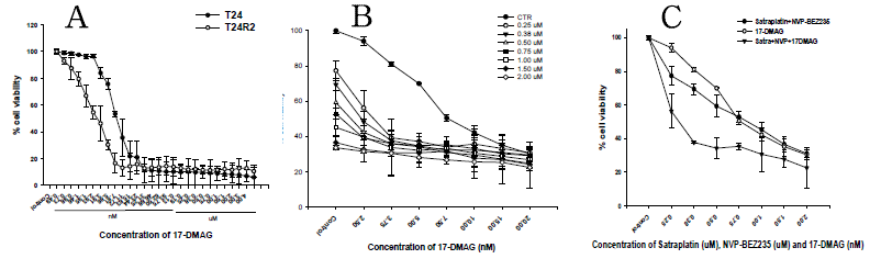 (A) antitumor effect of HSP90 inhibitor 17-DMAG in T24 and T24R2 cells. (B, C) Full combination and fixed ratio combination of satraplatin, NVP-BEZ235, and 17-DMAG exerted significant synergistic antitumor effect in T24R2 cells.