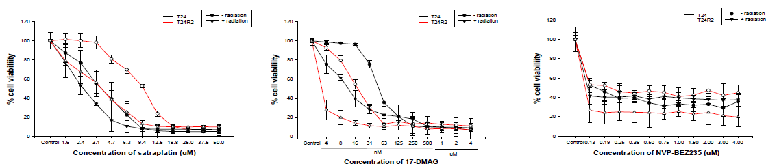 Radio-sensitizing effect of satraplatin, 17-DMAG, and NVP-BEZ235 in T24 and T24R2 bladder cancer cell lines.