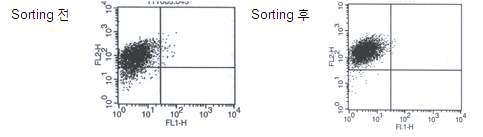 Flow cytometry반응을 이용하여 PDGFRβ+세포의 순수성 평가.