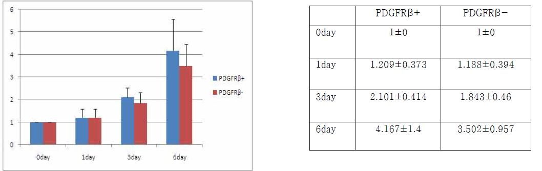 PDGFRβ+, PDGFRβ- 세포의 Proliferation Assay.