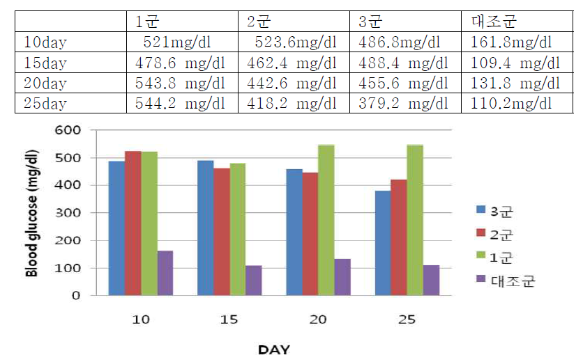 당뇨 유도 쥐모델의 혈당측정.