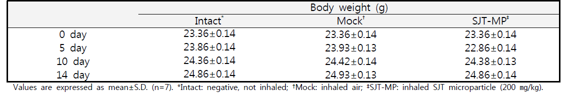 SJT microparticle 14일 단회투여 독성시험에서 체중 변화