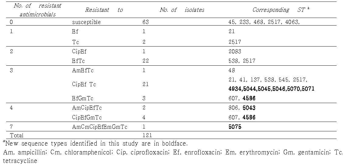 사람에서 분리한 Campylobacter의 항생제 감수성 유형에 따른 해당 ST