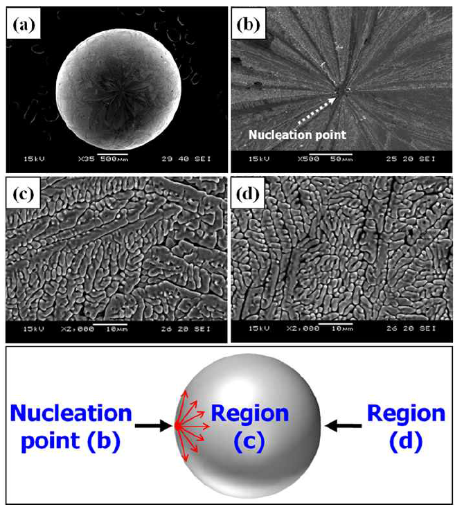 SEM images on the surface of the (Ba,Sr)TiO3 after aerodynamic levitation; (a) spheroidal shape, (b) nucleation point, (c) intermediate region, and (d) complete opposite region. A schematic (bottom image) indicates the region with observing direction.
