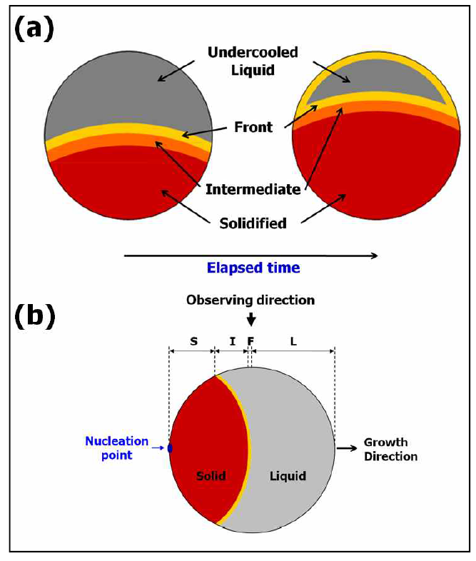 Schematic diagram for surface (a) and interior (b) growth of solid phase into the undercooled liquid observed from snap shot images during recalescence.