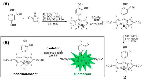 Synthetic scheme of sulfonate-probe 2 with pedant aryl ring (A) and fluorescence trun - on properties of sulfonate - probe 2 (B)