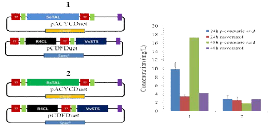 Selection of TAL for the resveratrol production in Escherichia coli