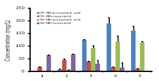 Comparison of production of resveratrol from glucose using different combination for tyrosine over-production with STS-4CL operon and SeTAL on the wild type BL21(DE3, blue and pink bar) and BL21-TPFI(green and purple bar) strain.