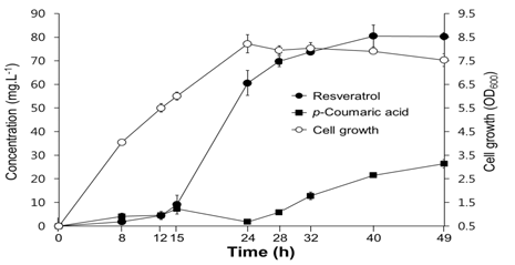 Production of resveratrol using BL21 TPFI (DE3) harboring aroG, tyrA, SeTAL, OS4CL. and VvSTS