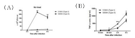 Type I (51843)과 Type I I (50594) 균주를 PBMC-derived monocytes에 감염 시킨 후 세포를 용해시켜 CFU를 측정 (A)하고 배양액으로 TNF-α ELISA 수행(B)한 결과