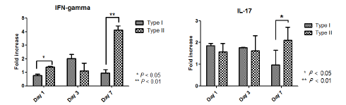Type I 및 Type II 균주 감염 시 폐에서 발현되는 사이토카인 발현량 비교