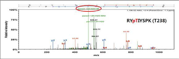 LRS phosphorylation site 분석