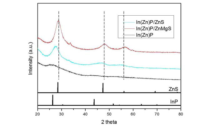 In(Zn)P 양자점 코어, In(Zn)P/ZnS 와 In(Zn)P/ZnMgS 코어/쉘 양자점의 XRD 패턴.