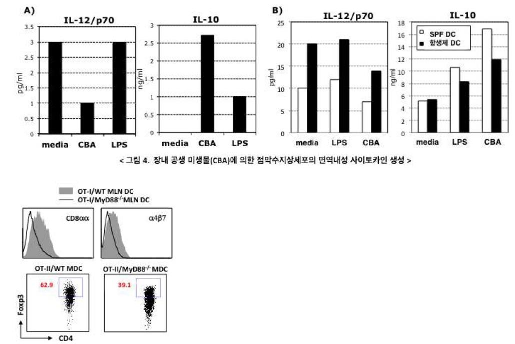 MyD88 의존적 점막수지상세포의 장 특이 기능