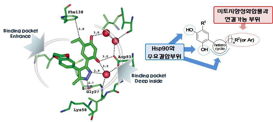 Hsp90과 Hsp90 inhibitor (resorcinol-pyrazole-aryl)의 X-ray cocrystal 구조