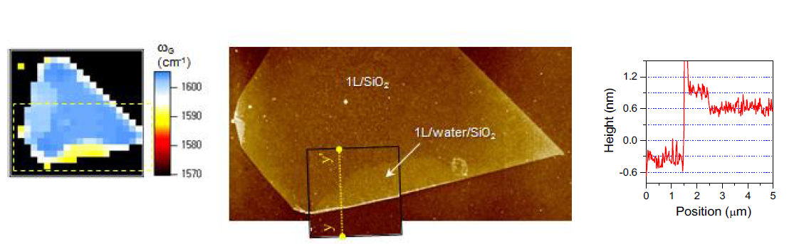 (왼쪽)일정 시간 물을 확산 시킨 후의 라만 맵 이미지. 물의 확산 현상으로 인해 열처리된 그래핀의 공간적인 정공 개수 감소를 확인. (가운데)동일 시료의 원자 힘 현미경 (AFM, Atomic Force Microscope)이미지. 정공의 감소가 이루어진 영역이 원자 힘 현미경 이미지에서도 차이가 관측됨. (오른쪽)원자 힘 현미경으로 측정한 단차 그래프. 정공 도핑 밀도의 감소가 일어난 부분과 그렇지 않은 부분의 단차는 0.35-0.4 nm로 물 1층의 두께와 매우 유사함.