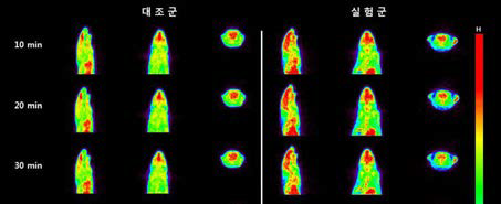 죽상경화증 모델에서 나노물질 표지된 대식세포의 체내 F-18 PET/CT 영상
