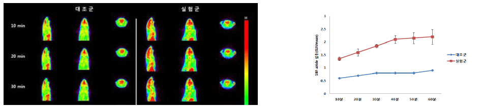 죽상경화증 모델에서 나노물질 표지된 대식세포의 체내 F-18 PET/CT 영상