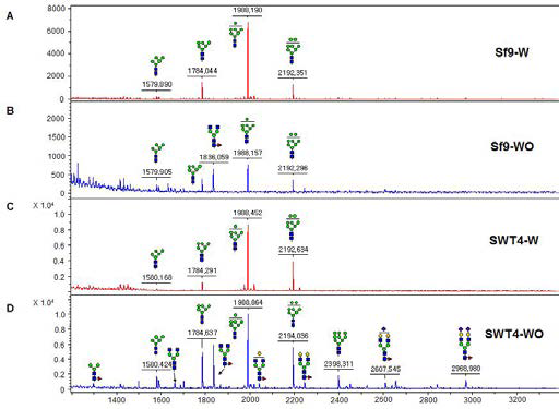 곤충세포 Sf9, SfSWT4에서 발현한 full size mAb CO17-1A의 당사슬 프로파일 비교 분석