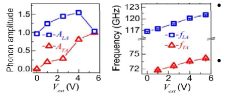 (좌) 외부 전계에 대해 다른 의존성을 보이는 LA 모드 (ALA)와 TA 모드의 진폭 (ATA).