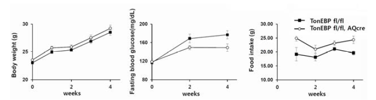 지방세포 특이적 TonEBP 결핍 마우스의 고지방식이로 유도된 비만·당뇨 질환모델에서 식이량, 체중 증가 및 혈당 감소