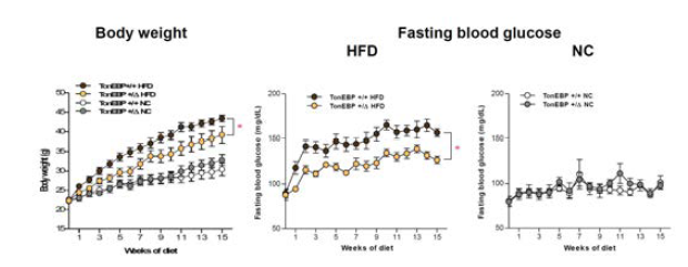 TonEBP 발현 감소가 고지방 식이에 의한 체중증가 및 혈당증가를 완화시킴