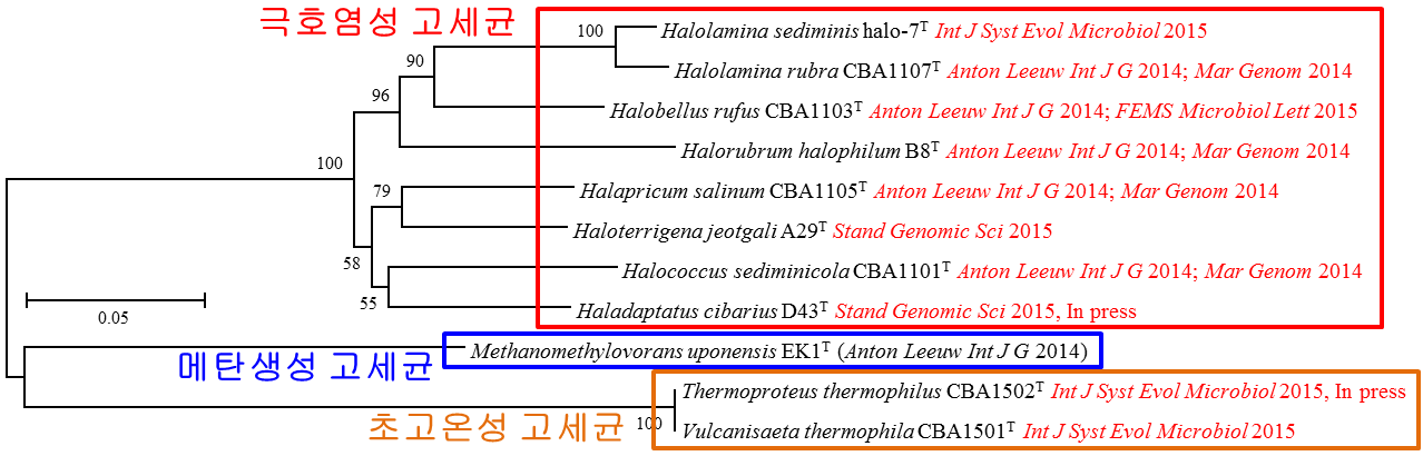 본 과제기간 동안 수행한 신규/유전체 분석 고세균 균주의 계통도 (빨간색, 사사 표기 논문)