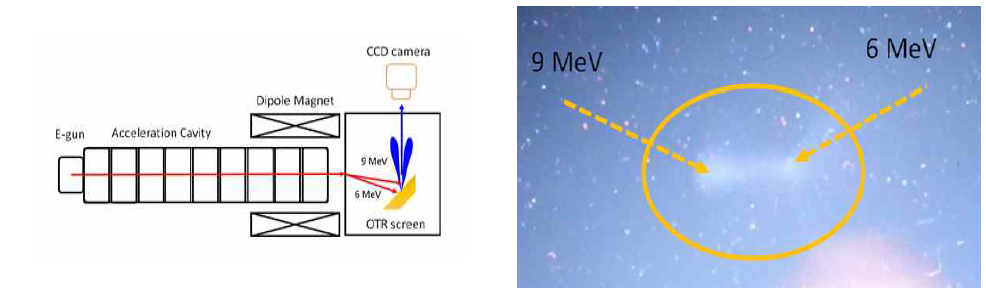 이극전자석과 OTR Screen을 이용한 9/6 MeV 이중에너지 발생 확인 방법