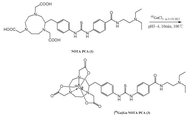 Synthesis scheme of [68Ga]Ga-NOTA-PCA