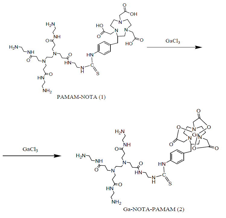 The scheme of Ga-NOTA-PAMAM dendrimer (2)