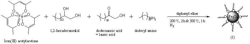 The scheme of Fe3O4 nano-particle (1)