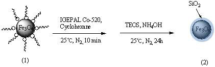 The scheme of Fe3O4@SiO2 composites (2)