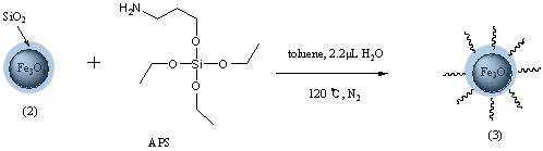 The scheme of amine introduced Fe3O4@SiO2 composites (3)