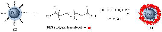 The synthesis of PEG modified Fe3O4@SiO2 composites (4)