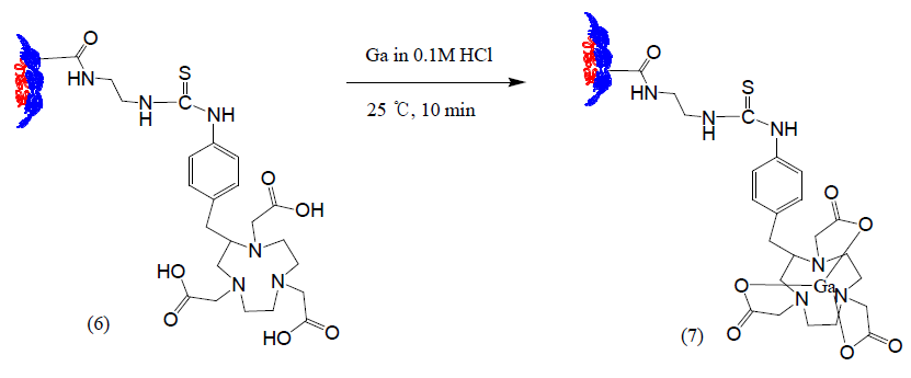 The synthesis of Ga chelate nano dendrimer composites (7)