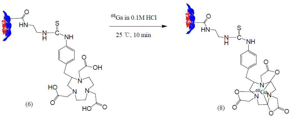 The synthesis of Ga-68 labeled nano dendrimer composites (8)