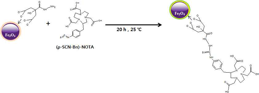 The synthesis of nanoparticle-NOTA composite with non-folic acid