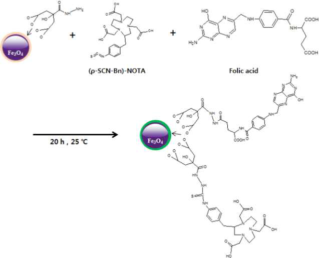 The synthesis of folic acid introduced nanoparticle-NOTA composites