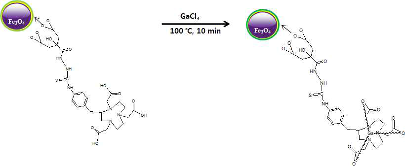 Stable isotope labeled NHFCNP