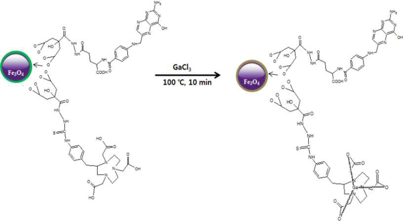 Stable isotope labeled N-FHFCNP