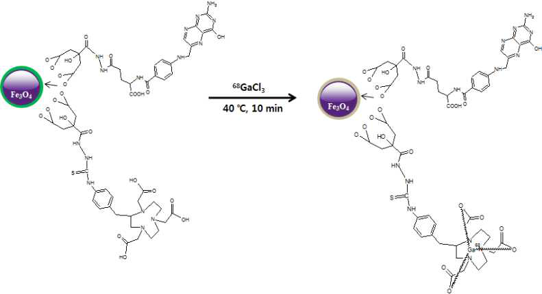 Radioisotope labeled N-FHFCNP