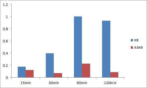 Tumor distribution chart in KB and A 549 cells