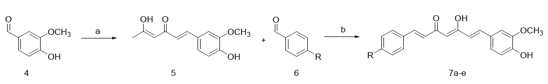 Scheme of curcumin derivative