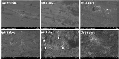 The variation of Mo surface