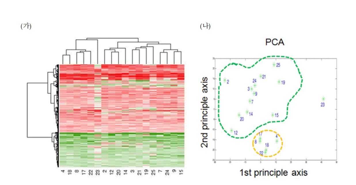 (가) 13번이상 DEGs으로 뽑힌 유전자들의 발현양에 대한 clustering 결과. (나)유전자 발현양에 대한 PCA분석.