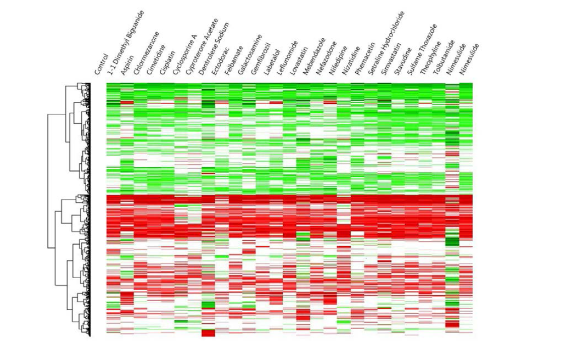 27개의 약물 반응 시스템에서 유의미하게 증가/감소한 3633개의 유전자에 대한 clustering 결과