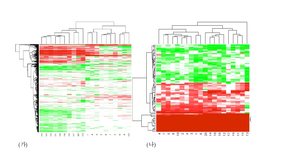 (가) 20개의 약물 처리에 의해 한 번 이상 양적 반응을 보이는 대사체에 대한 발현 패턴 (나) 20개의 약물 처리에서 10번 이상 양적 반응을 보이는 대사체에 대한 발현 패턴