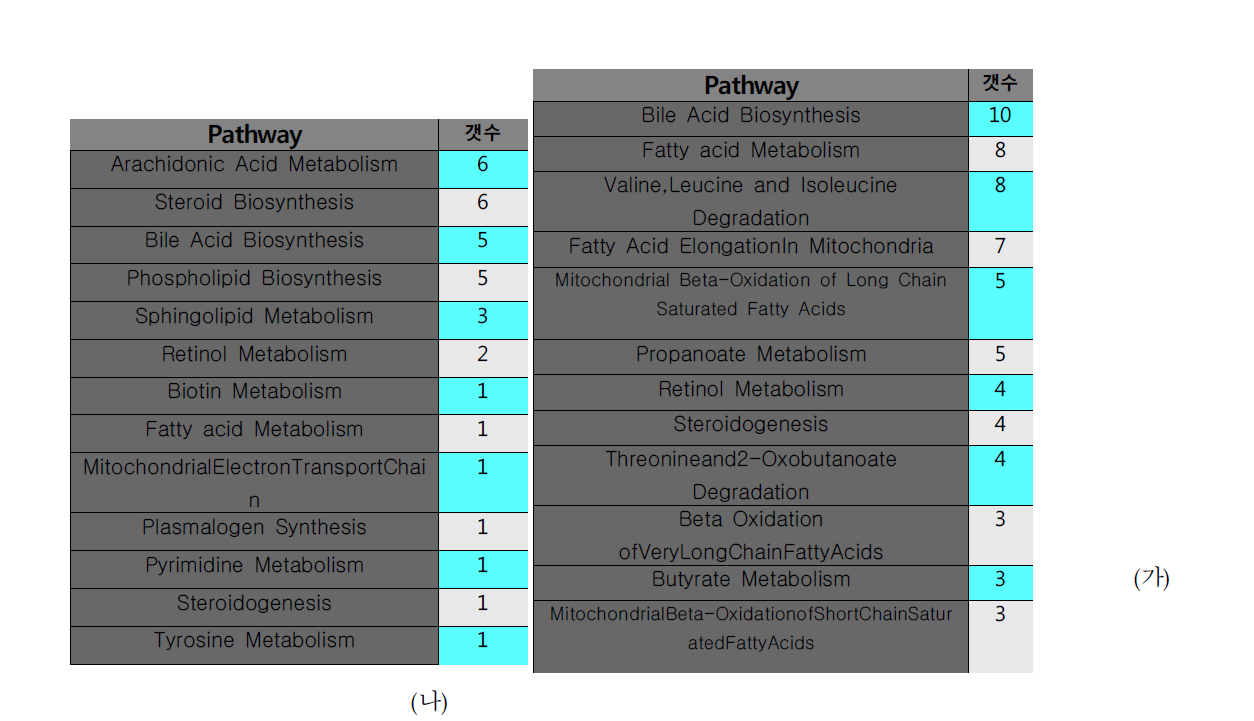 (가) 20개의 약물 처리 시 10개 이상에서 대조군 대비 증가하는 대사체가 관여하는 대사활동(나) 20개의 약물 처리 시 10개 이상에서 대조군 대비 감소하는 대사체가 관여하는 대사활동